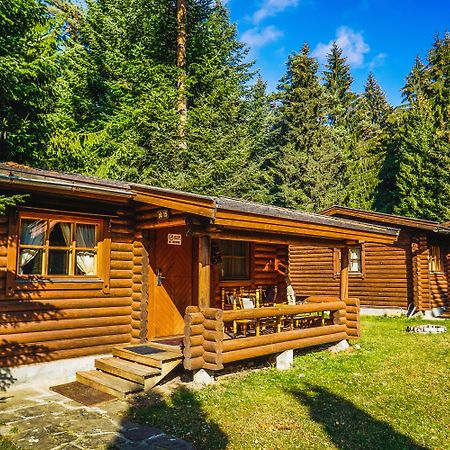 Villa Yagoda Borovets Dış mekan fotoğraf